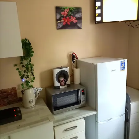 Joli Avec Petit Jardin Apartment Cannes